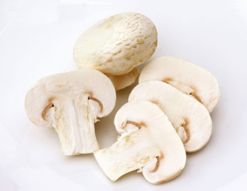 白蘑菇 不要看蘑菇长不高就认为没有营养.