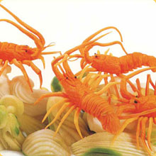 ���ϳ�ʦ��ѵ ��ƴ���